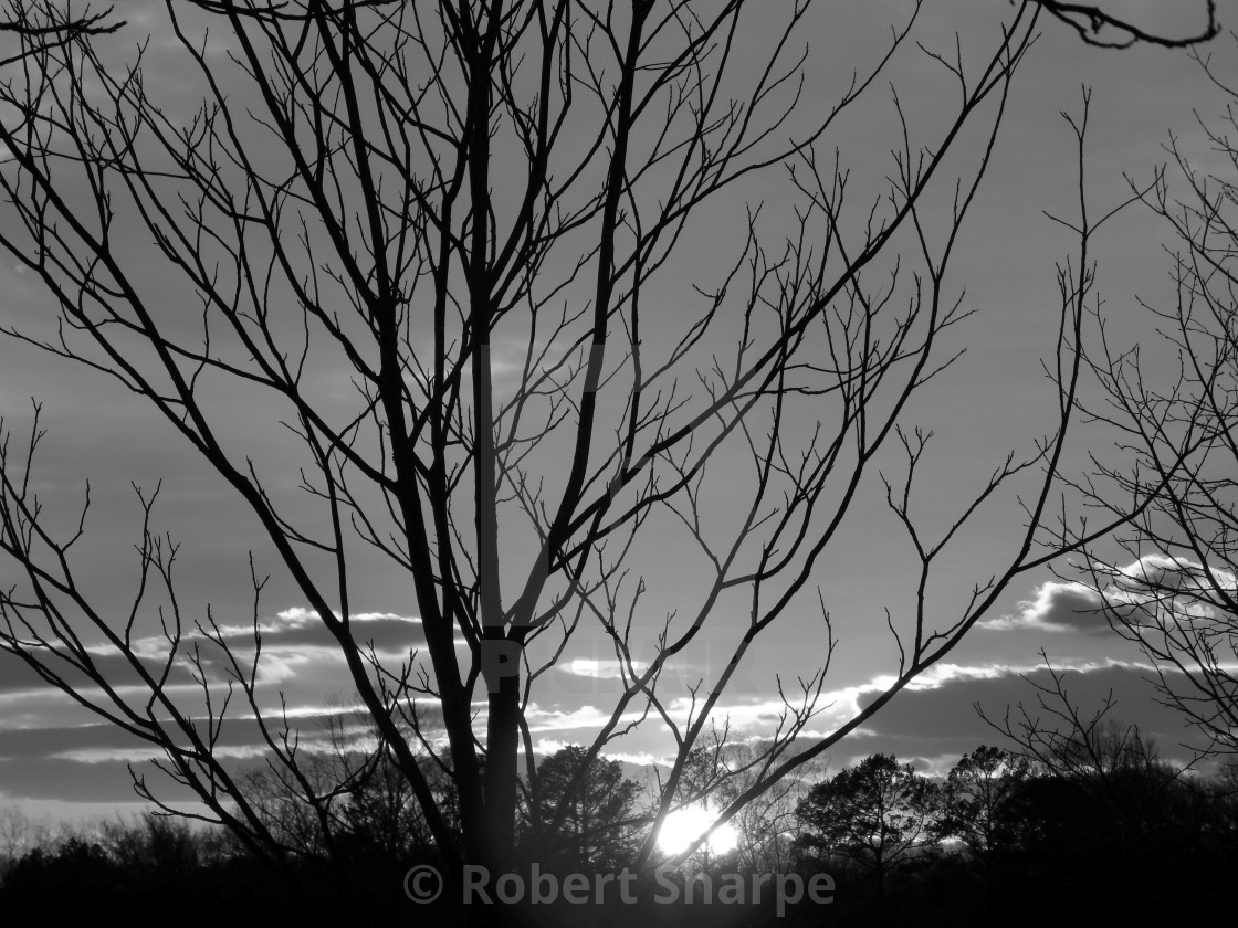 "Black and White Sunset" by Robert Sharpe - $12.44 "Black and White Sunset" stock image