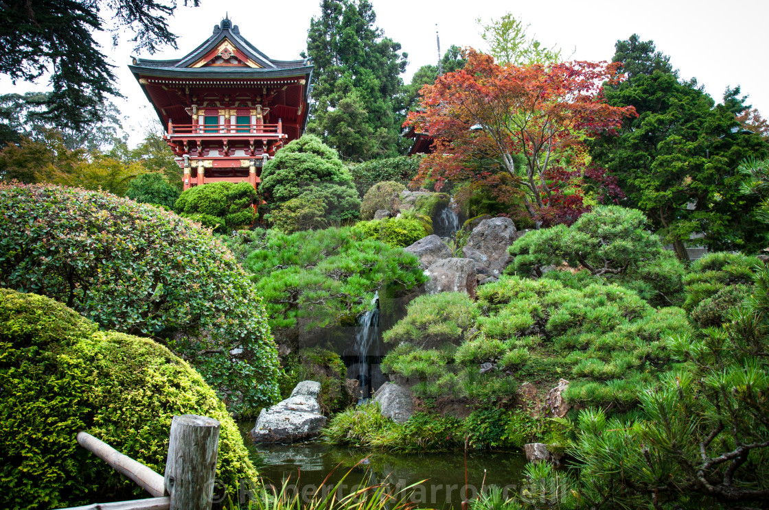 Japanese Tea Garden License Download Or Print For 12 40 Photos Picfair Photographs provided by linda brown photography, a member of the alameda. https www picfair com pics 010507819 japanese tea garden