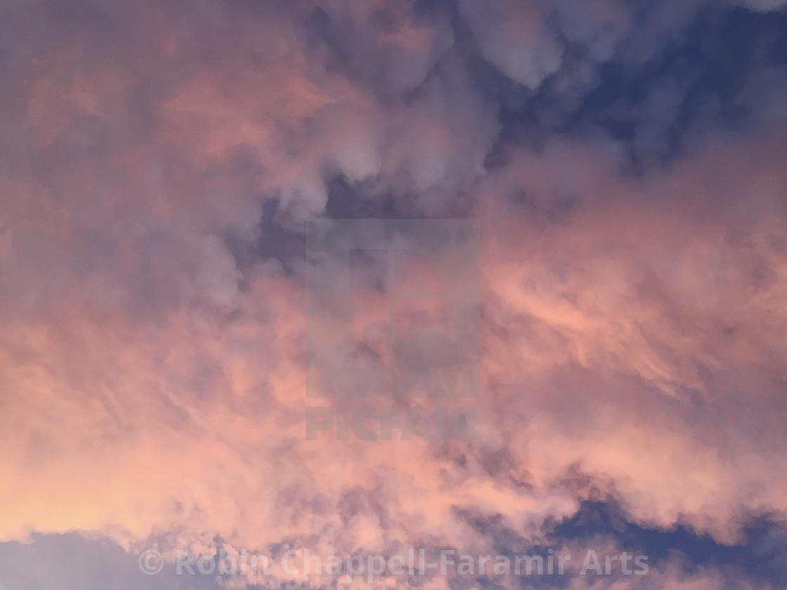 "Oh, By The Way, Which One's Pink" by Robin Chappell/Faramir Arts - $154.39 "Oh, By The Way, Which One's Pink" stock image