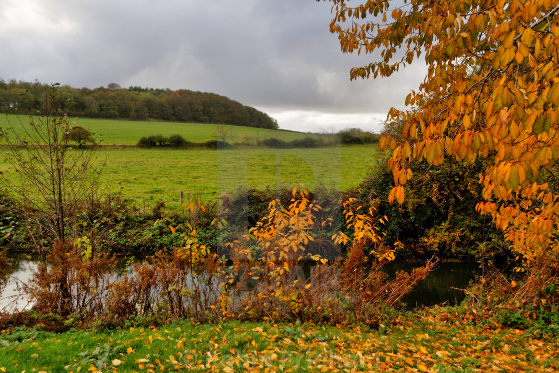 "Autumn Landscape 2" stock image