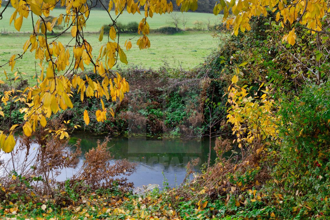 "Autumn Lansdcape 3" stock image