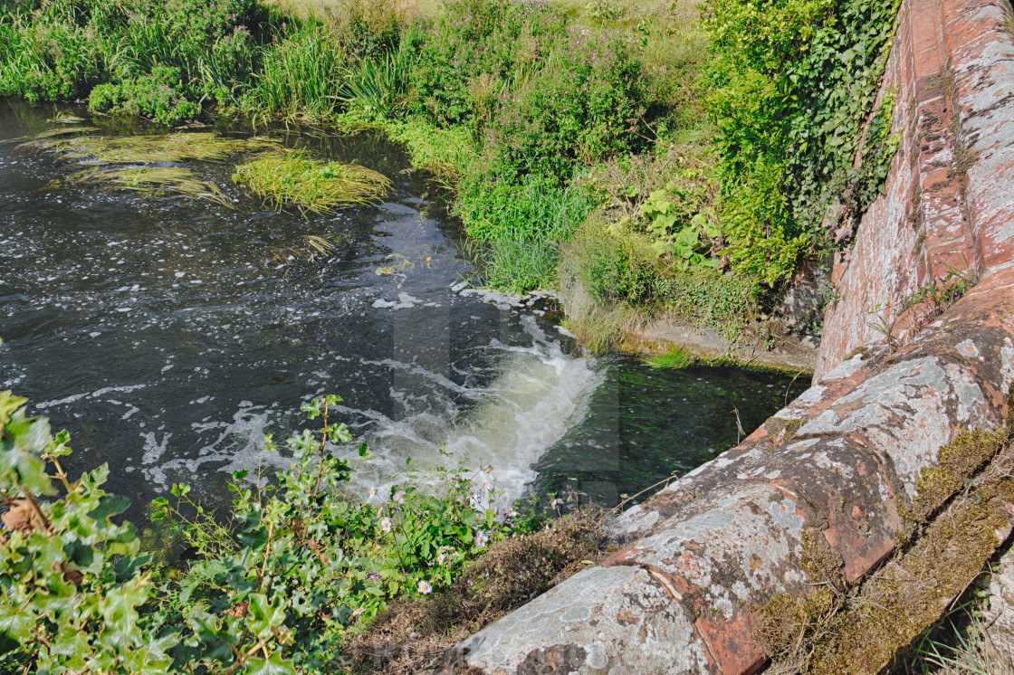 "River Wensum" stock image