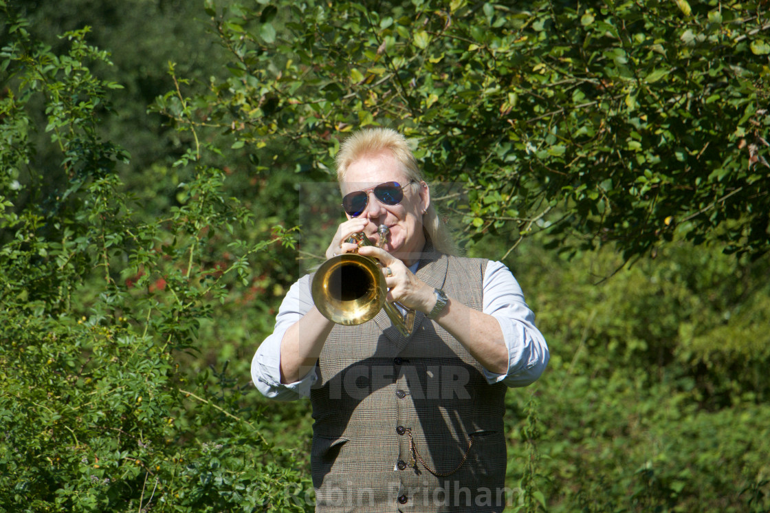 "Blowing in the Woods" stock image