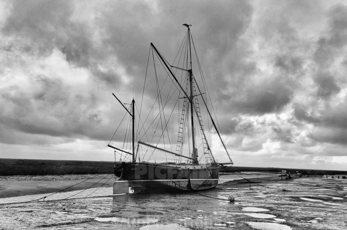 "High and Dry" stock image