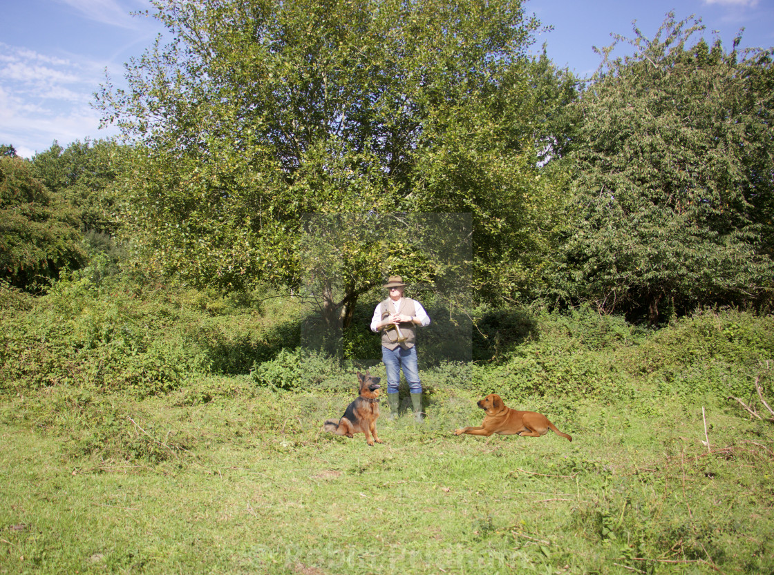 "Horn and Hounds" stock image