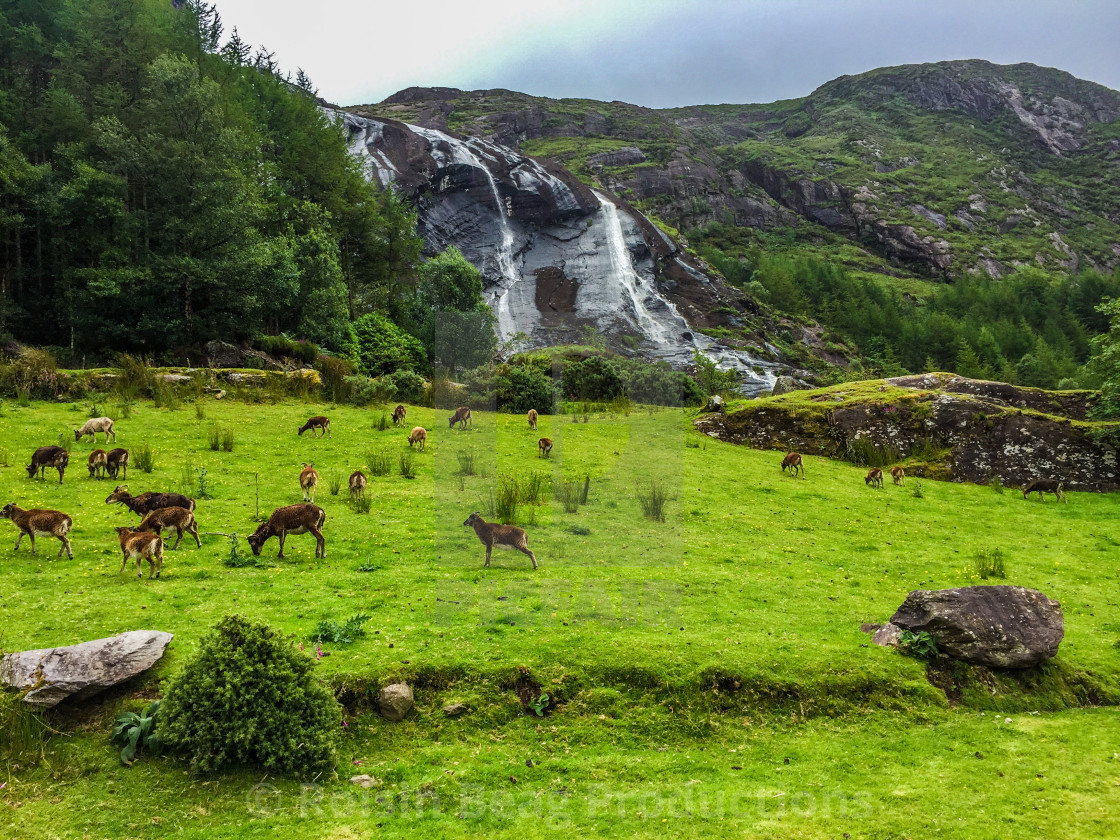 "Gleninchaquin Park" stock image