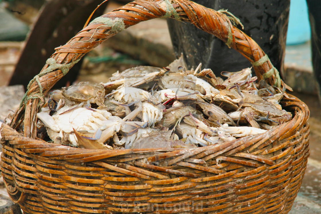 "Basket of crabs" stock image