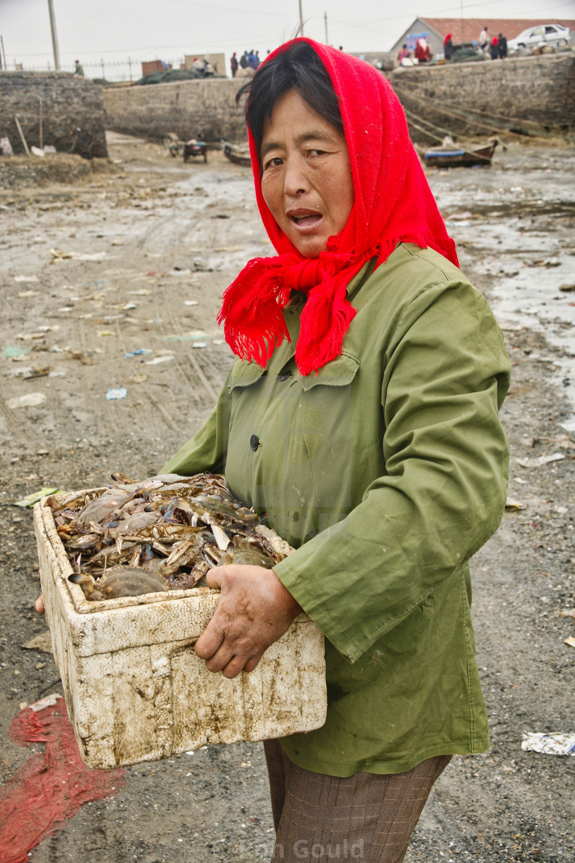 "Basket of Crabs" stock image