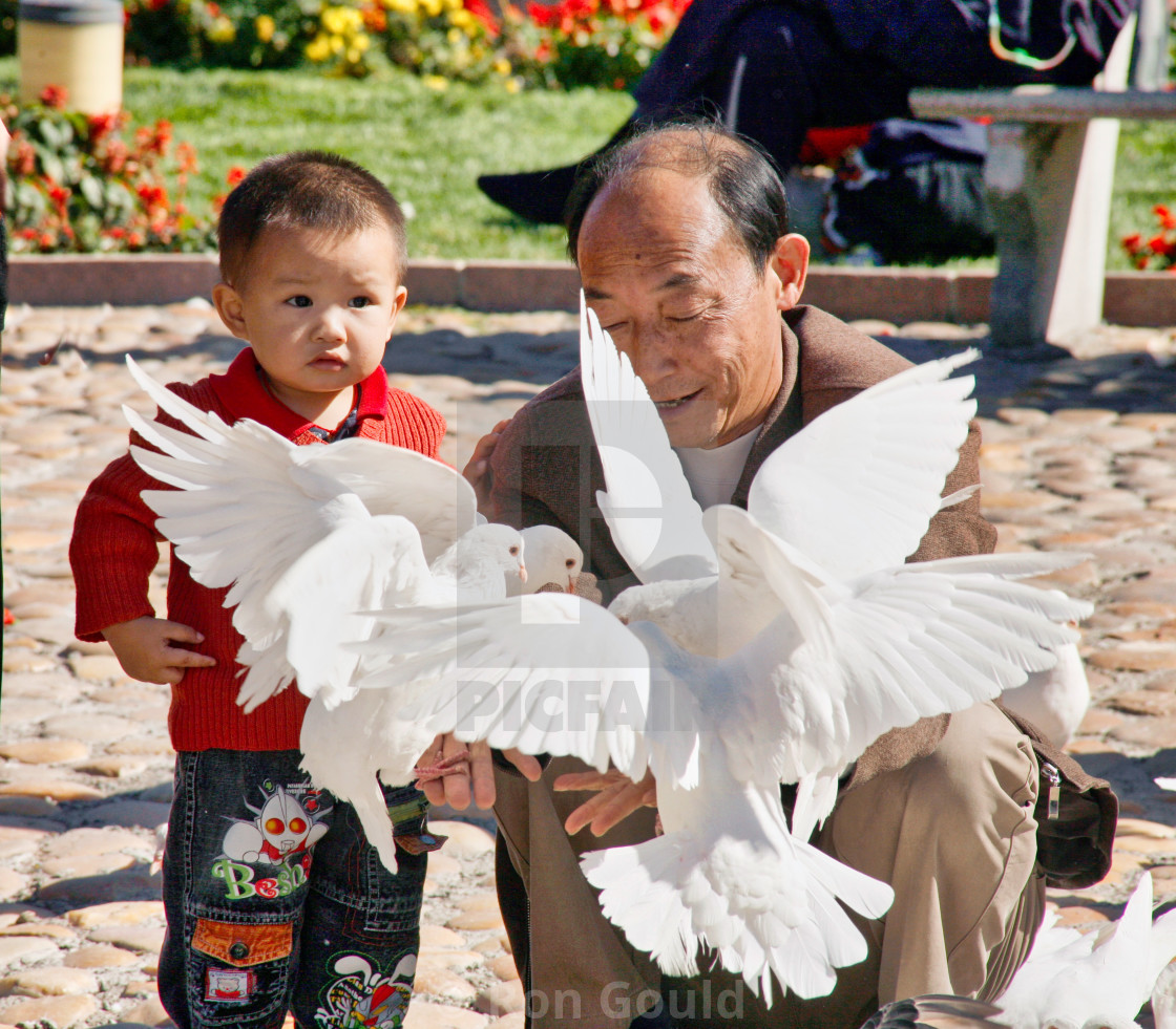 "Boy & Birds" stock image