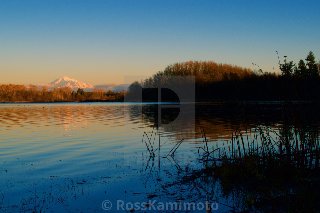 "Baker across the pond" by - $18.70 "Baker across the pond" stock image