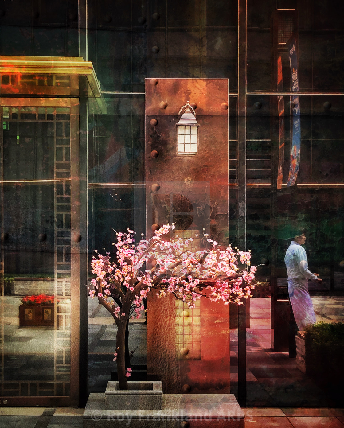 "Pink flowers and glass, Shanghai" stock image