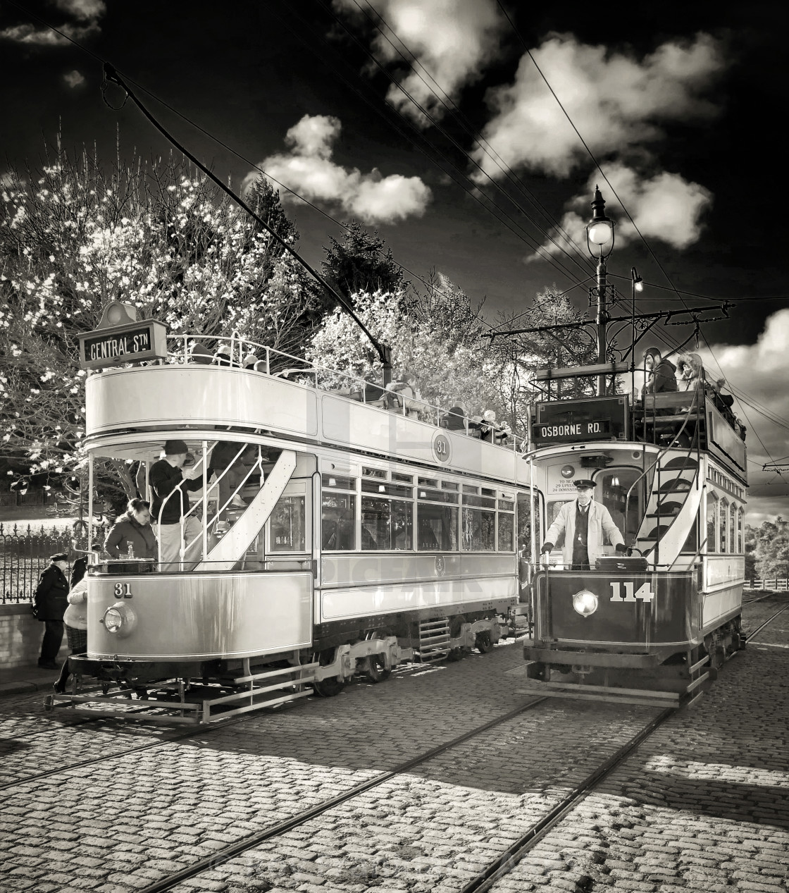 "Old Trams at Beamish, mono" stock image