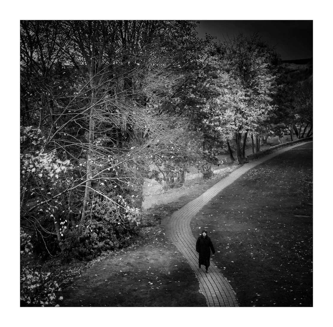 "Walking in the park" stock image