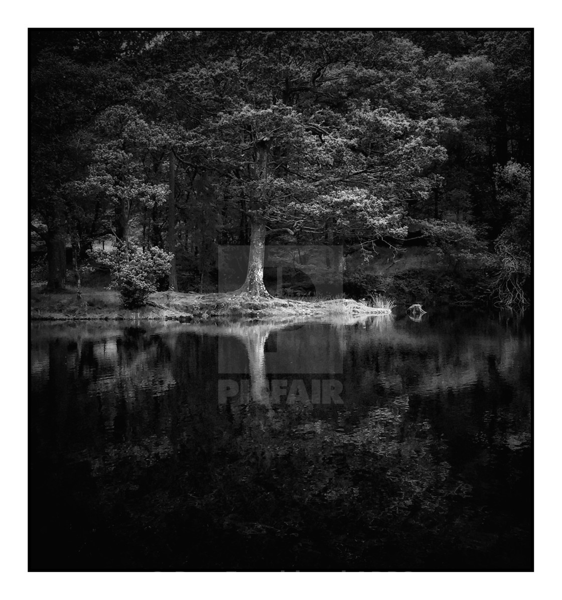 "Trees Reflected at Coniston" stock image