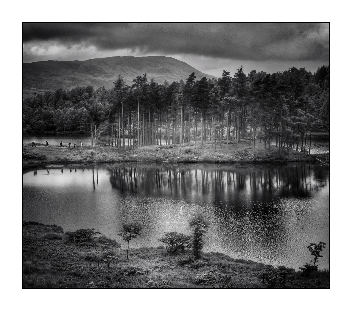 "Reflected trees at Hawkshead Hill" stock image