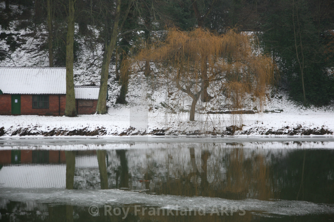 "Winter tree reflection" stock image