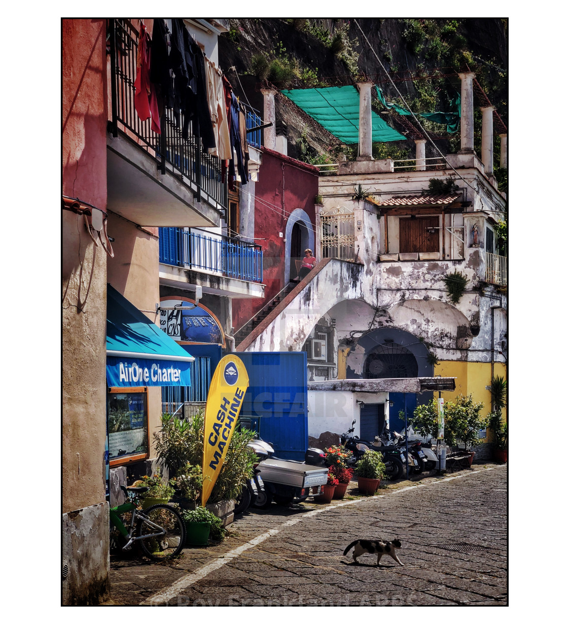 "Cat in the street, Piano Di Sorrento" stock image