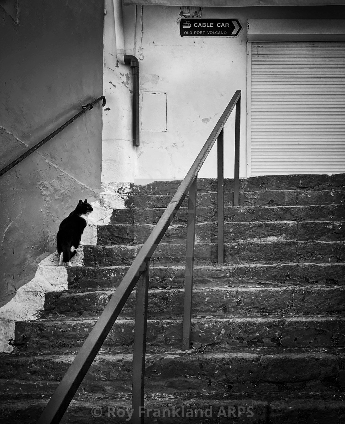 "Black cat on the stairs" stock image