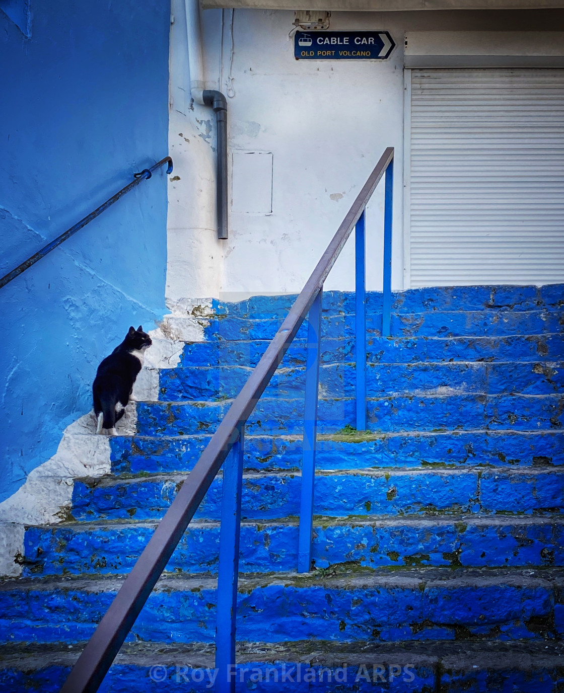 "Black cat, blue stairs!" stock image