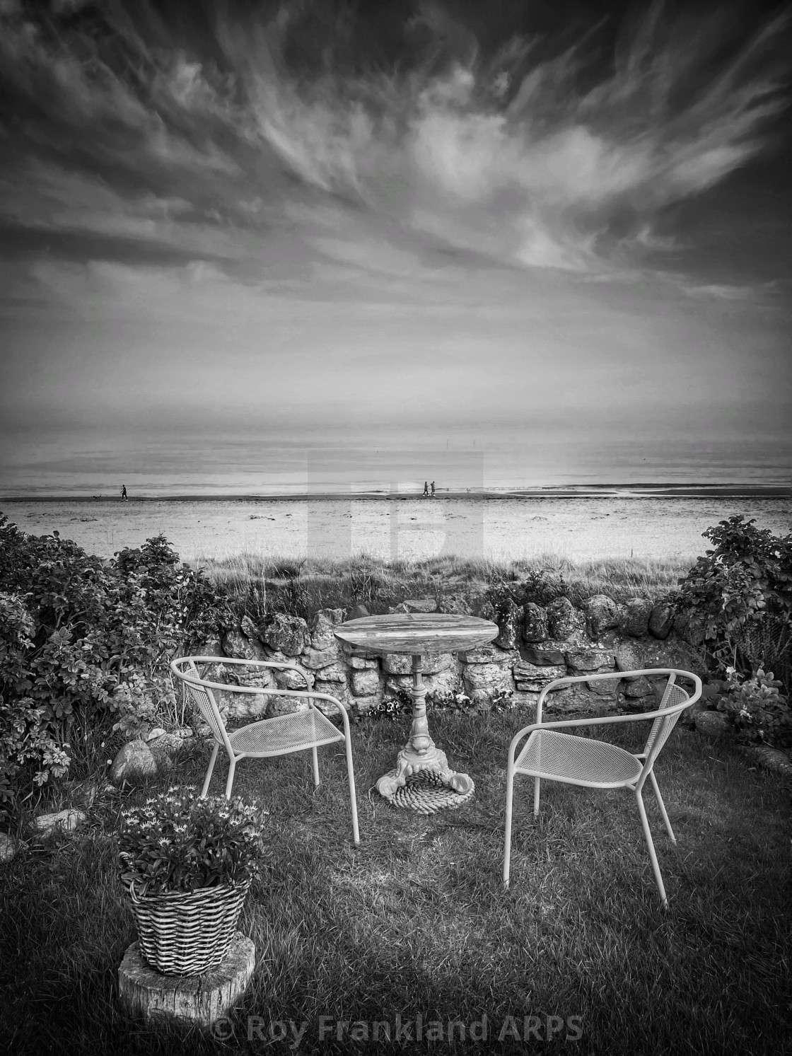 "Beach garden, mono" stock image