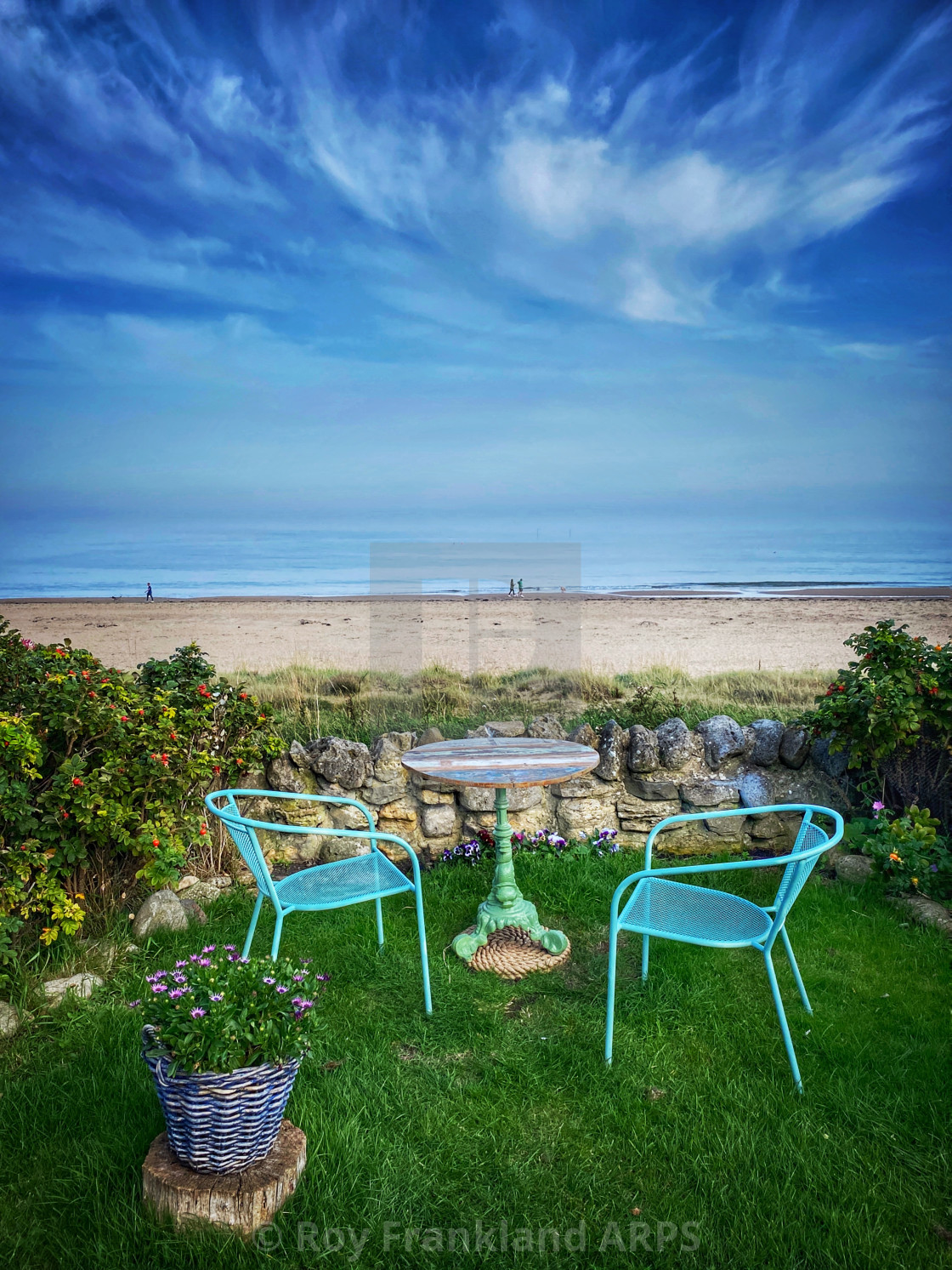 "Beach garden" stock image