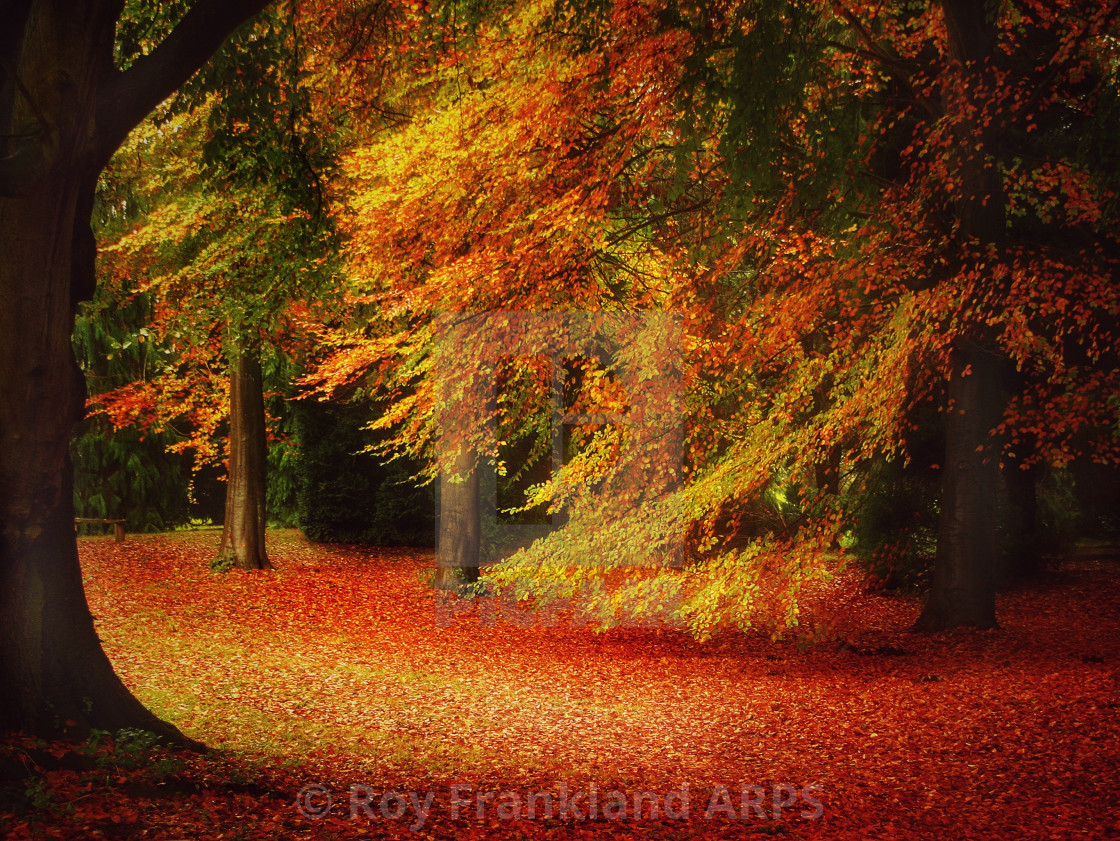 "Autumn coloured blanket" stock image