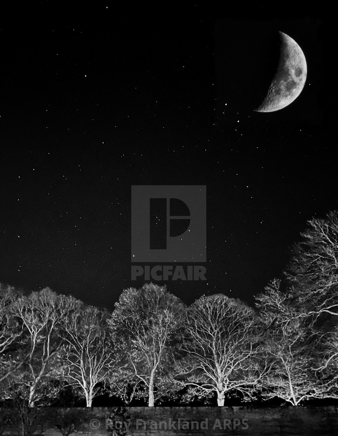 "Moon, stars and trees" stock image