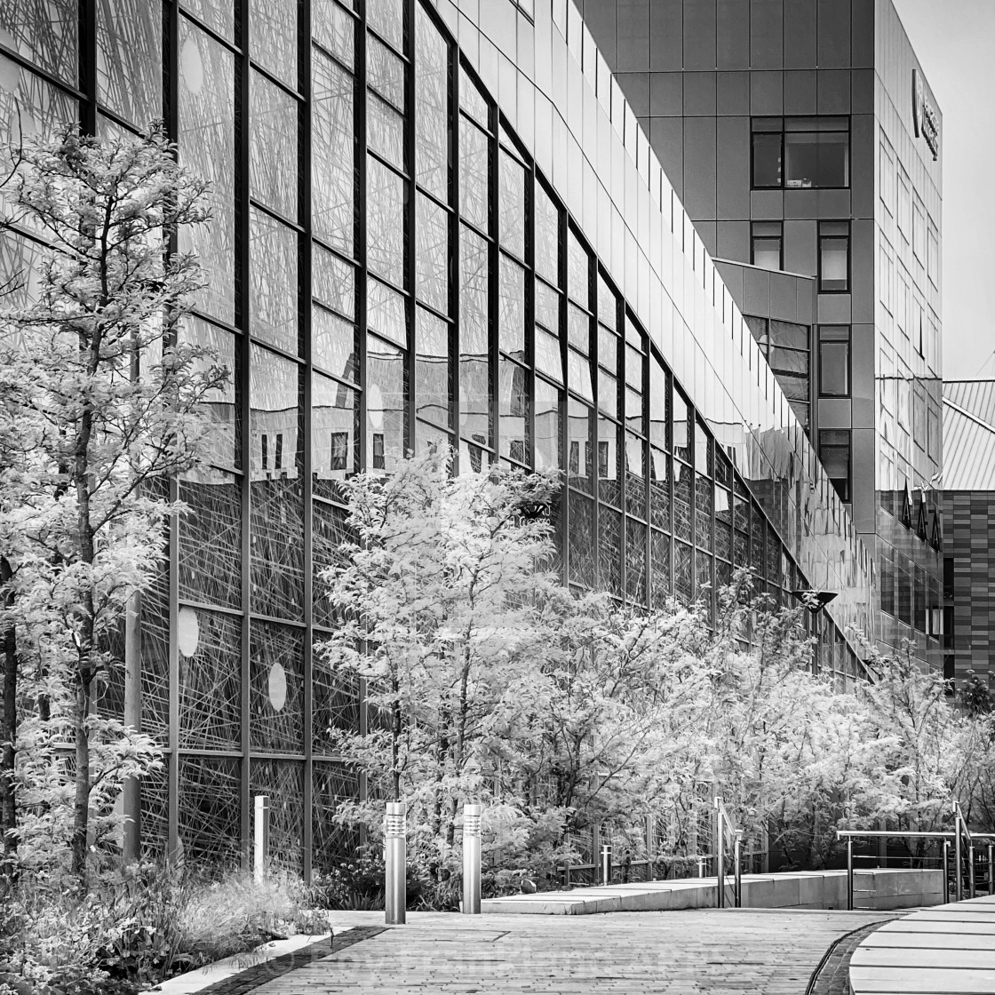 "Reflections in glass, mono" stock image