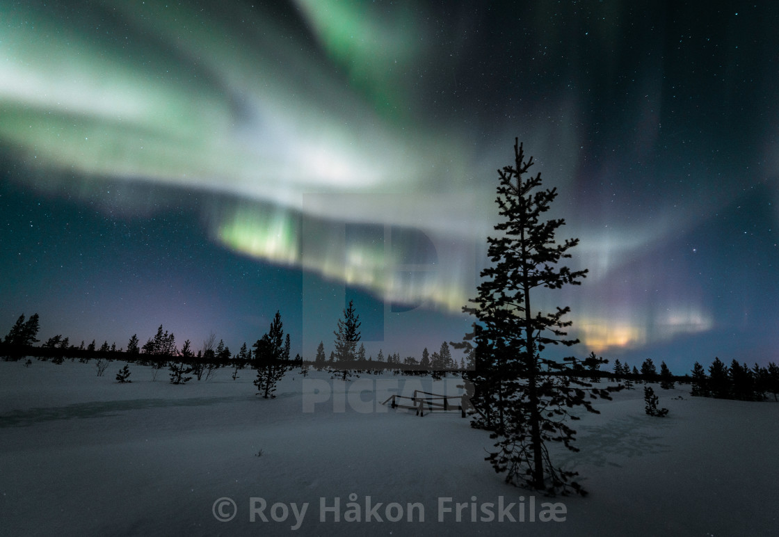 "Fantastic northernlights in Norway" stock image