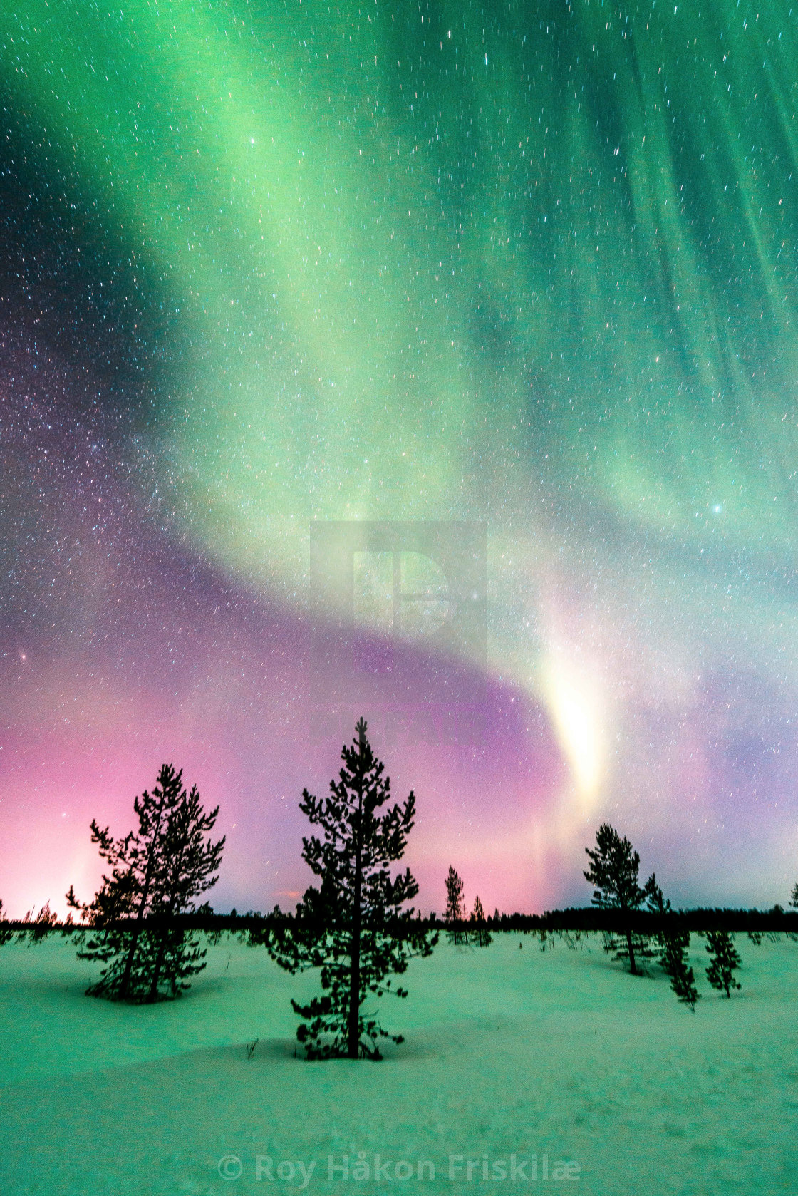 "Aurora night in Pasvik valley" stock image