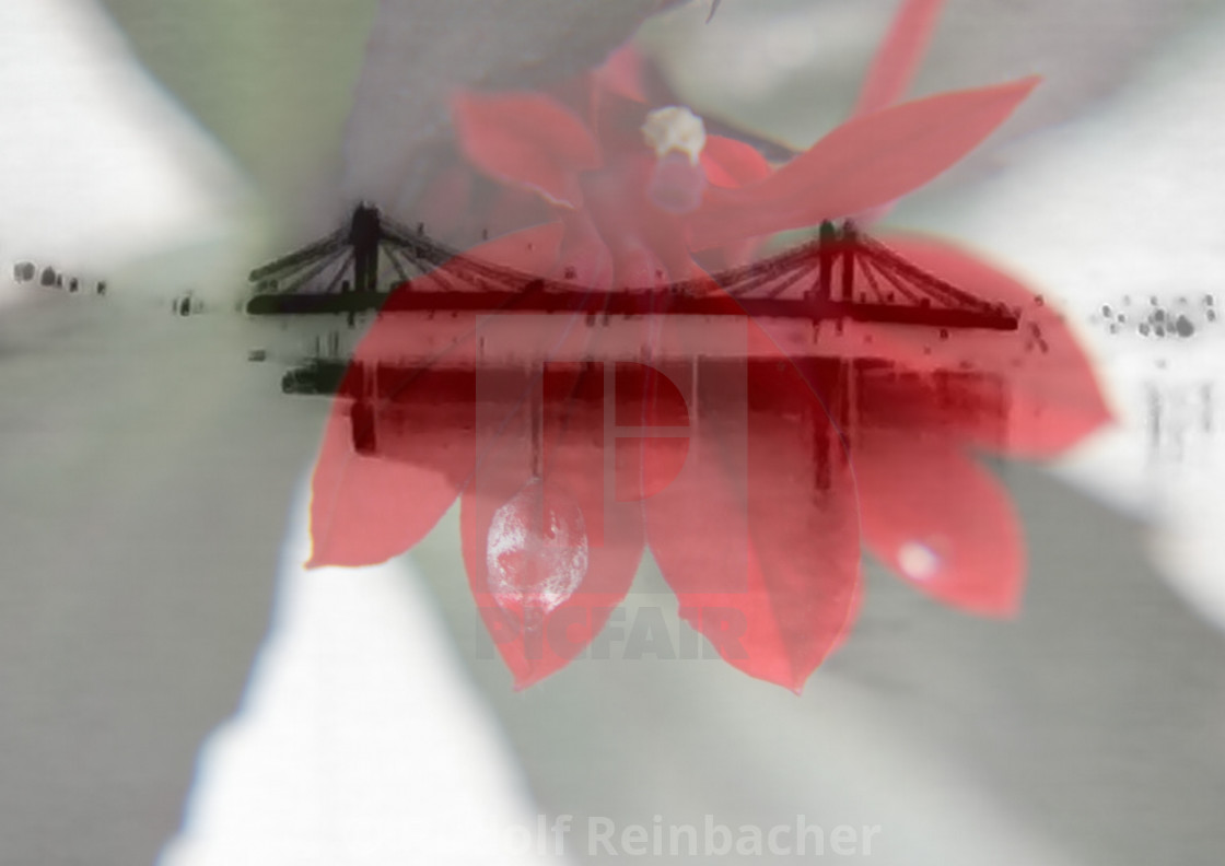 "Flower-bridge" stock image