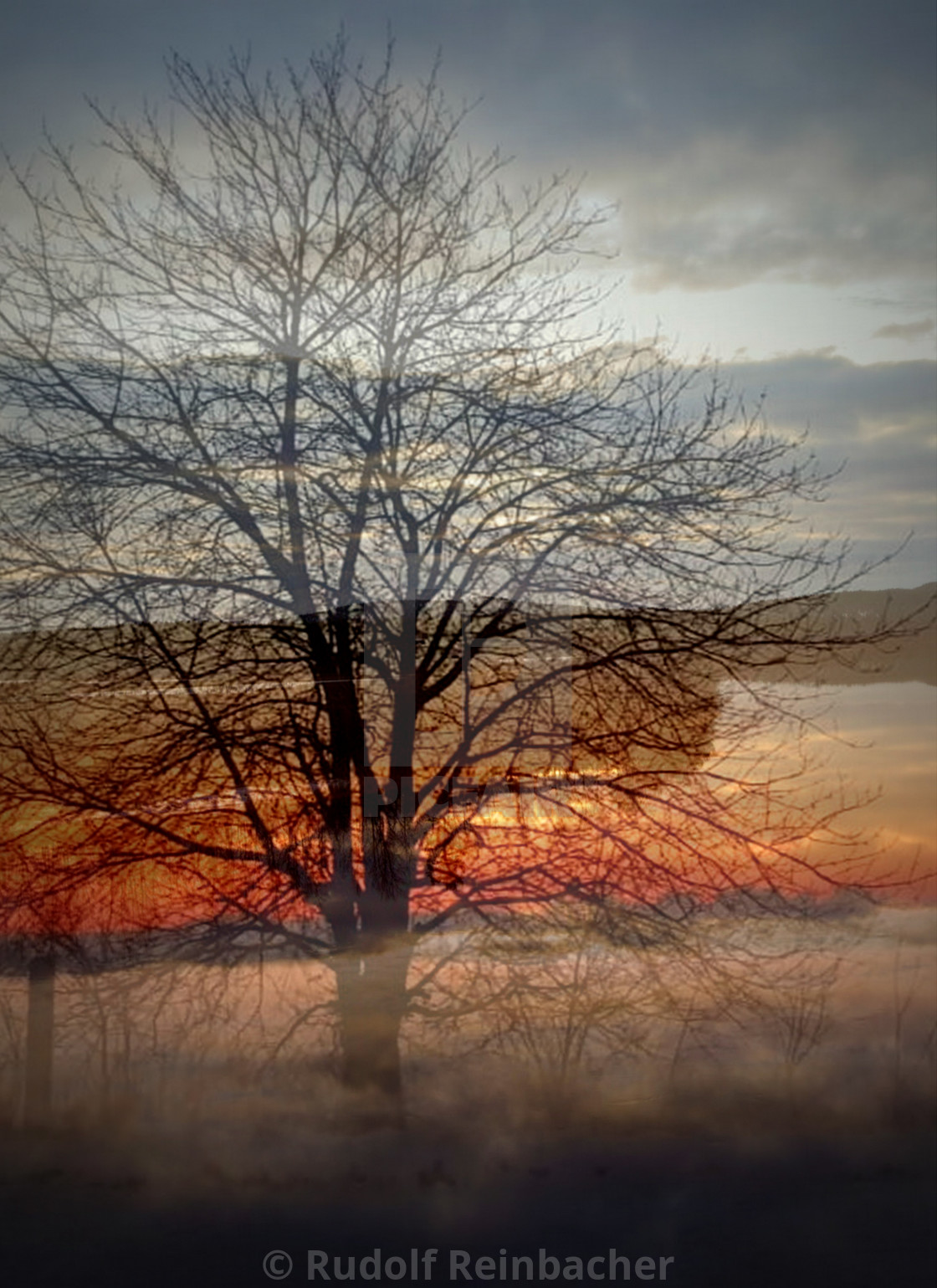 "Mysterious landscape" stock image