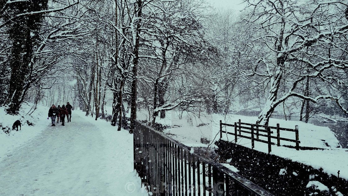 "Snow Fall in Botanic Gardens" stock image