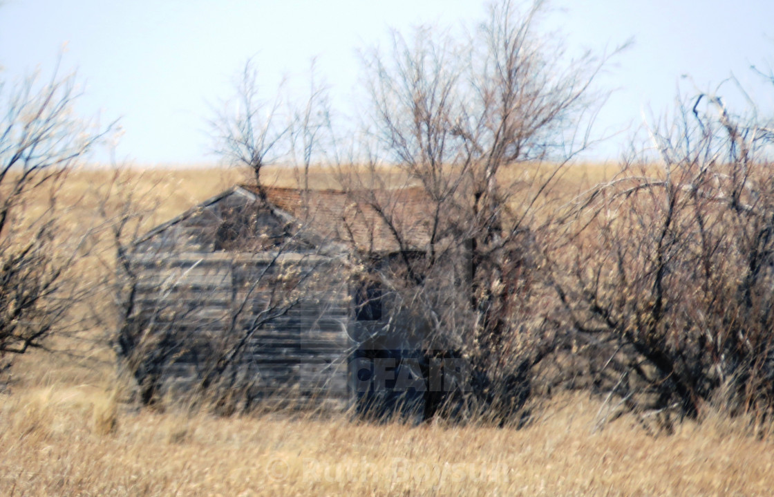 "Abandoned Building" stock image