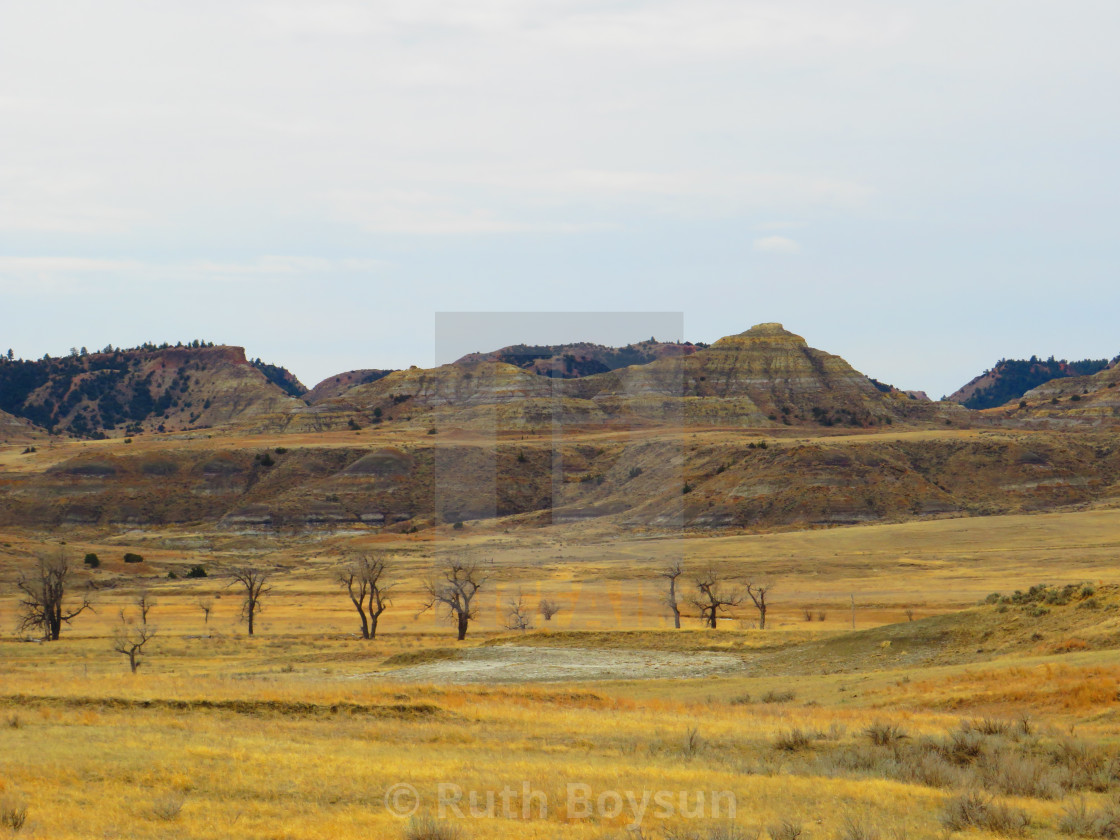 "Terry Badlands" stock image