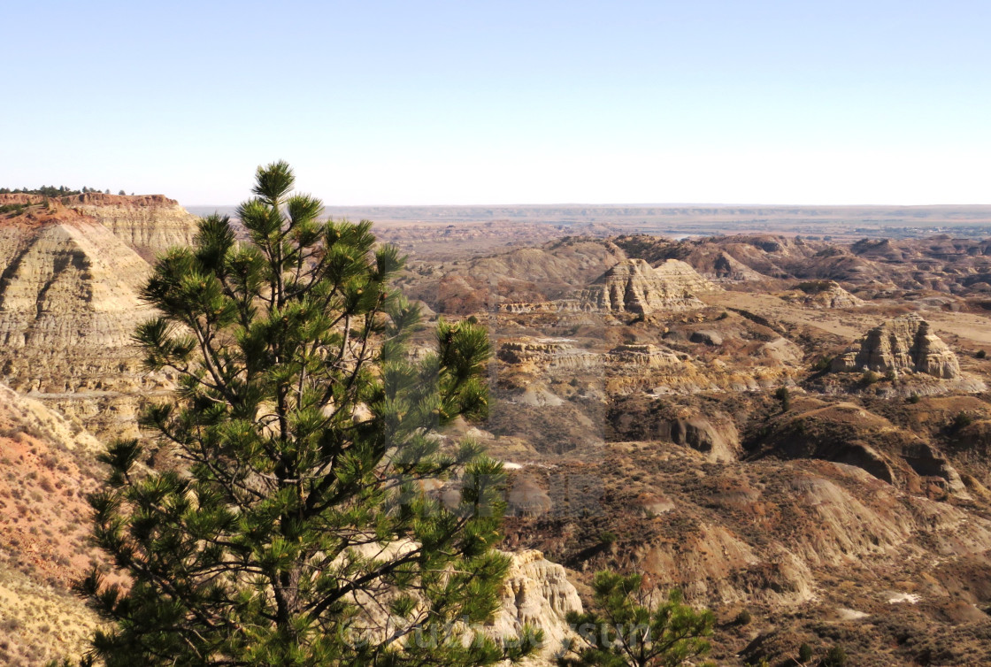 "Scenic View Montana" stock image