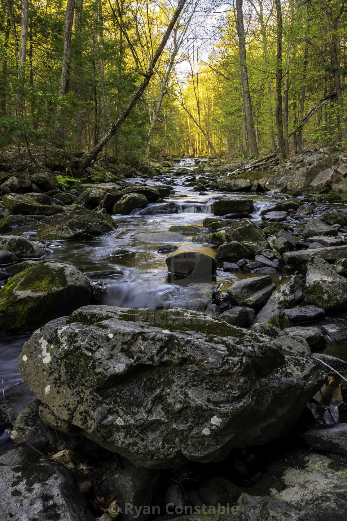"Follow Vaughan Brook" by Ryan Constable - $15.31 "Follow Vaughan Brook" stock image