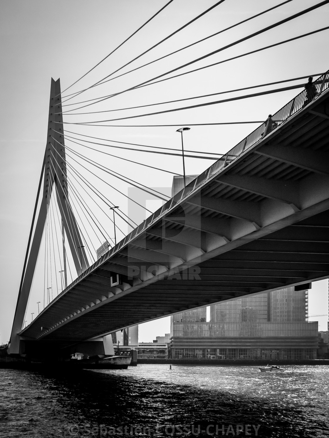 "Erasmusbrug" stock image