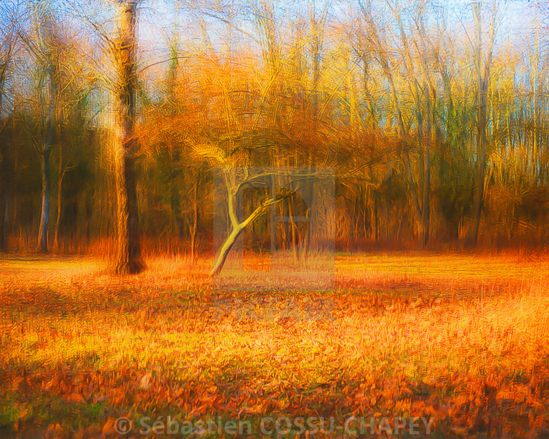 "Undergrowth impressionist" stock image