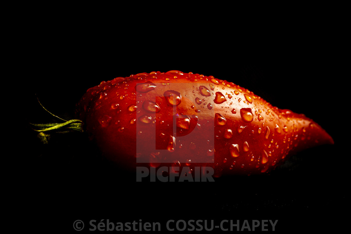 "Tomato" stock image