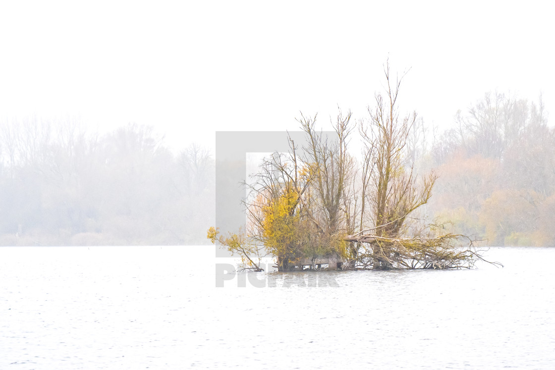 "Winter atmosphere on the lake" stock image