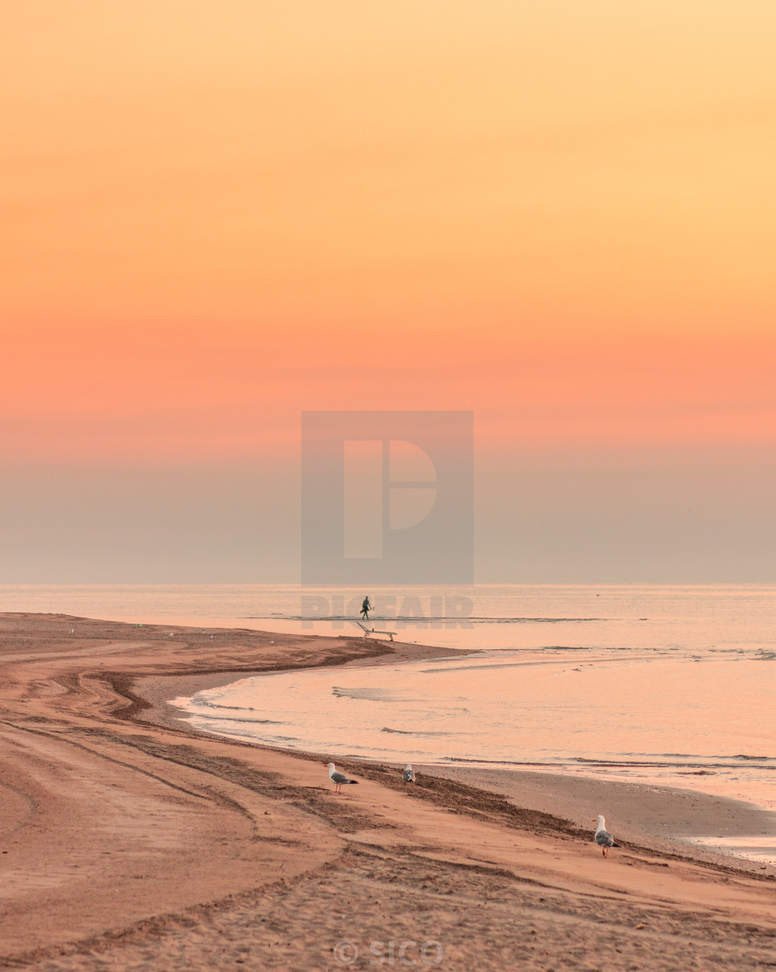 "Morning Dip: A Seaside Escape for One" stock image