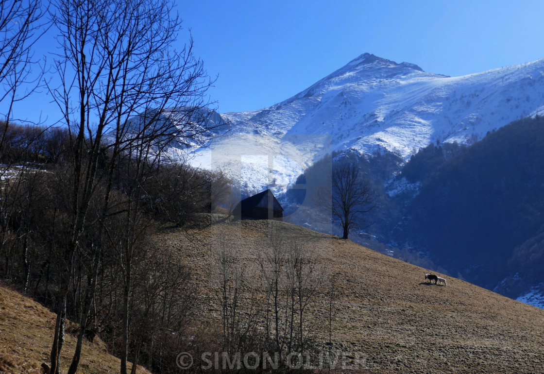 "Biros valley, Pyrenees" stock image