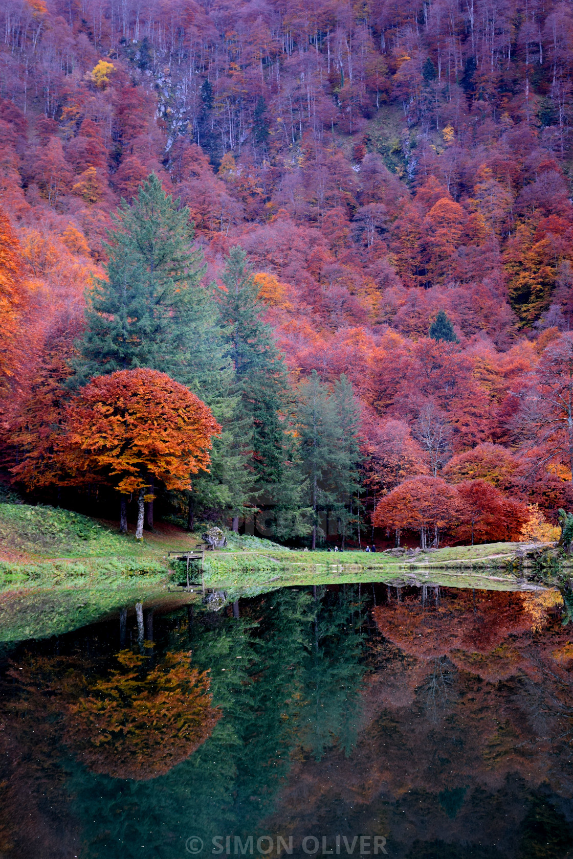 "Lac de Bethale in Autumn" stock image