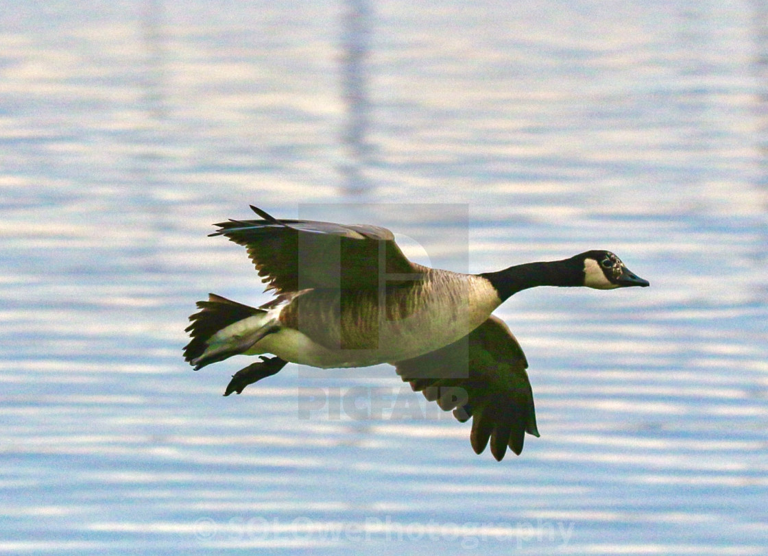 "Cleared for Landing" stock image