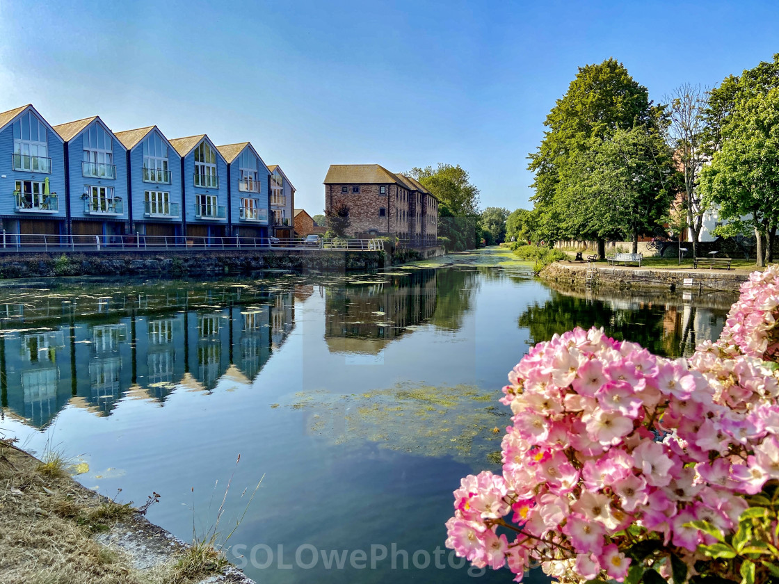 "Chichester Canal" stock image