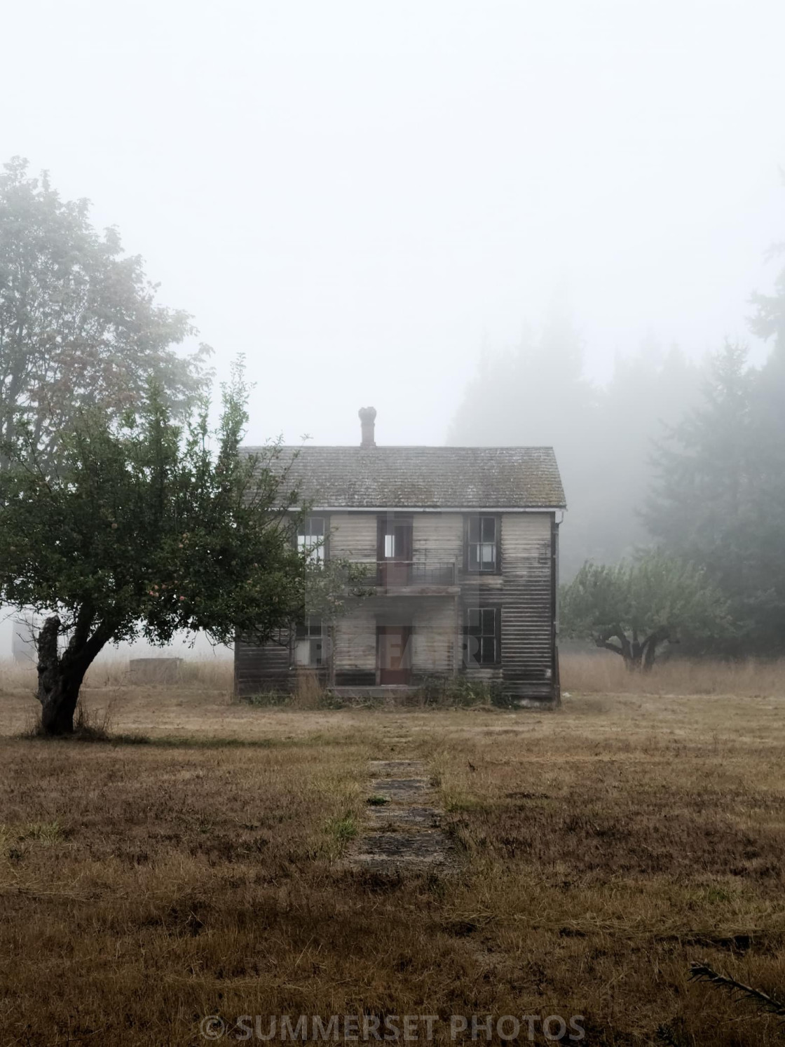 "Old house in Sequim Washington" stock image