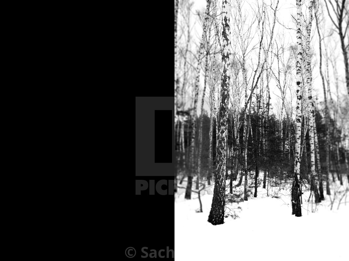 "lan(d)ˌskāp /01" by Sachafedor - £86.80 "lan(d)ˌskāp /01" stock image