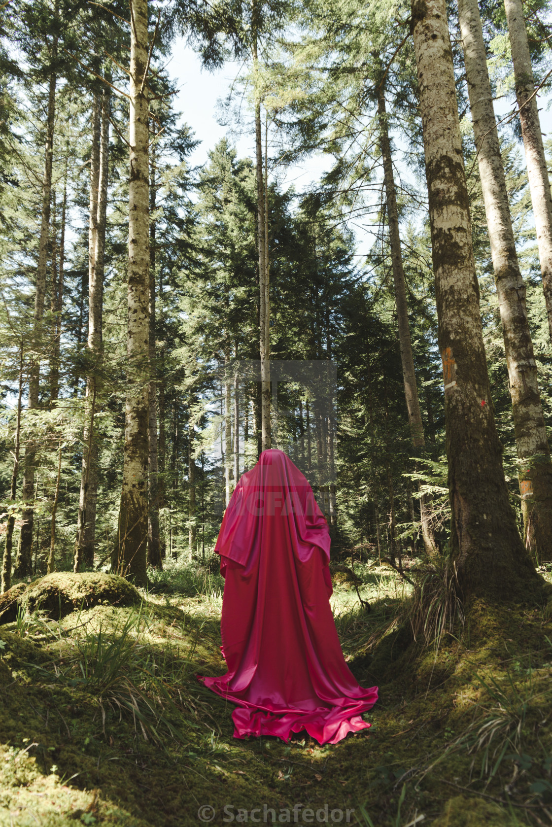 "Almost transparent" by Sachafedor - £74.40 "Almost transparent" stock image