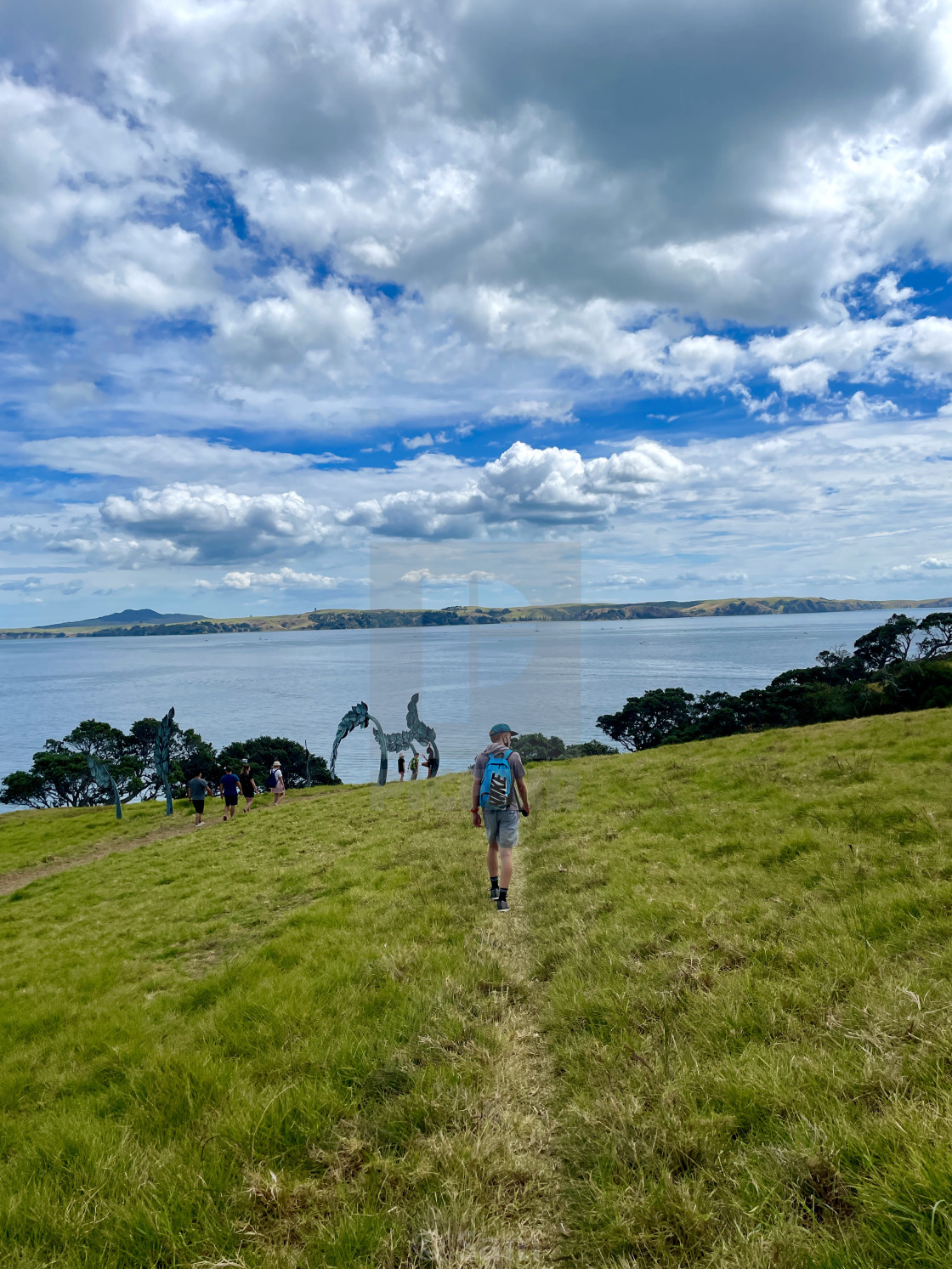 "Walking On Waiheke" by Sam - $24.91 "Walking On Waiheke" stock image